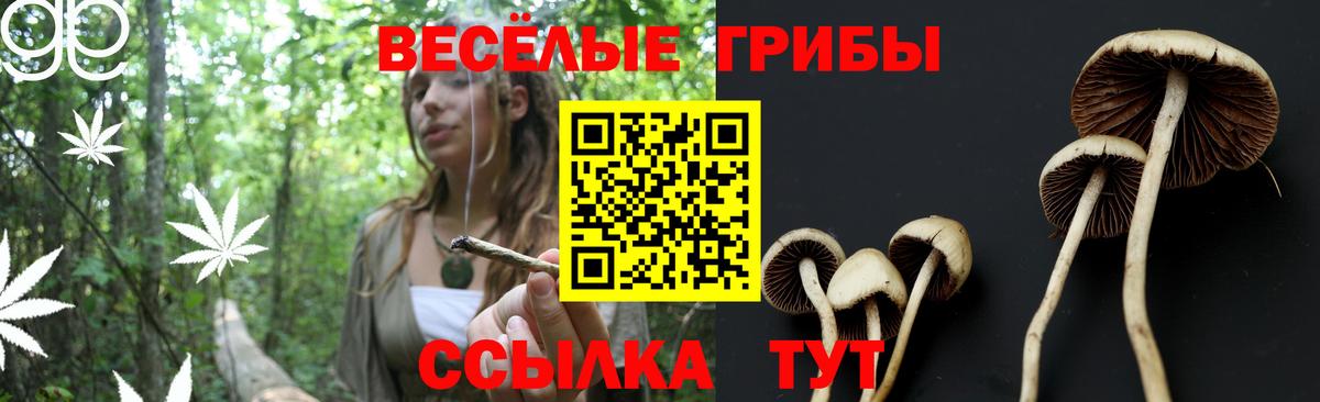 MDMA  Бошки Шишки  Лсд 25  NBOMe  Гусь-Хрустальный  Вход с VPN  Кокаин  МЕФ кристаллы 